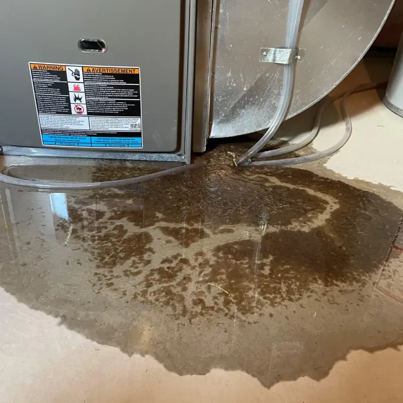 Appliance Leak Cleanup in Garnett, KS